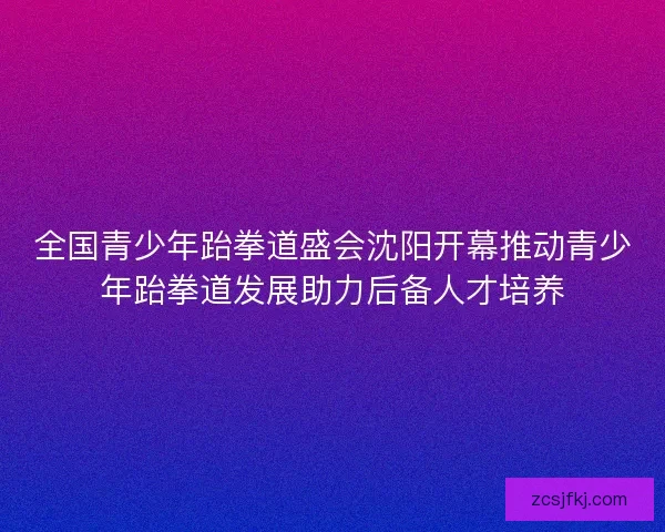 全国青少年跆拳道盛会沈阳开幕推动青少年跆拳道发展助力后备人才培养