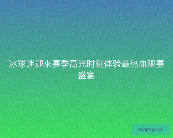 冰球迷迎来赛季高光时刻体验最热血观赛盛宴