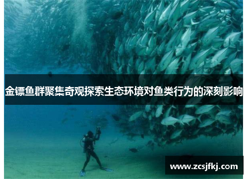 金镖鱼群聚集奇观探索生态环境对鱼类行为的深刻影响